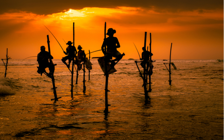 Silhouettes of the traditional fishermen at the sunset in Sri Lanka