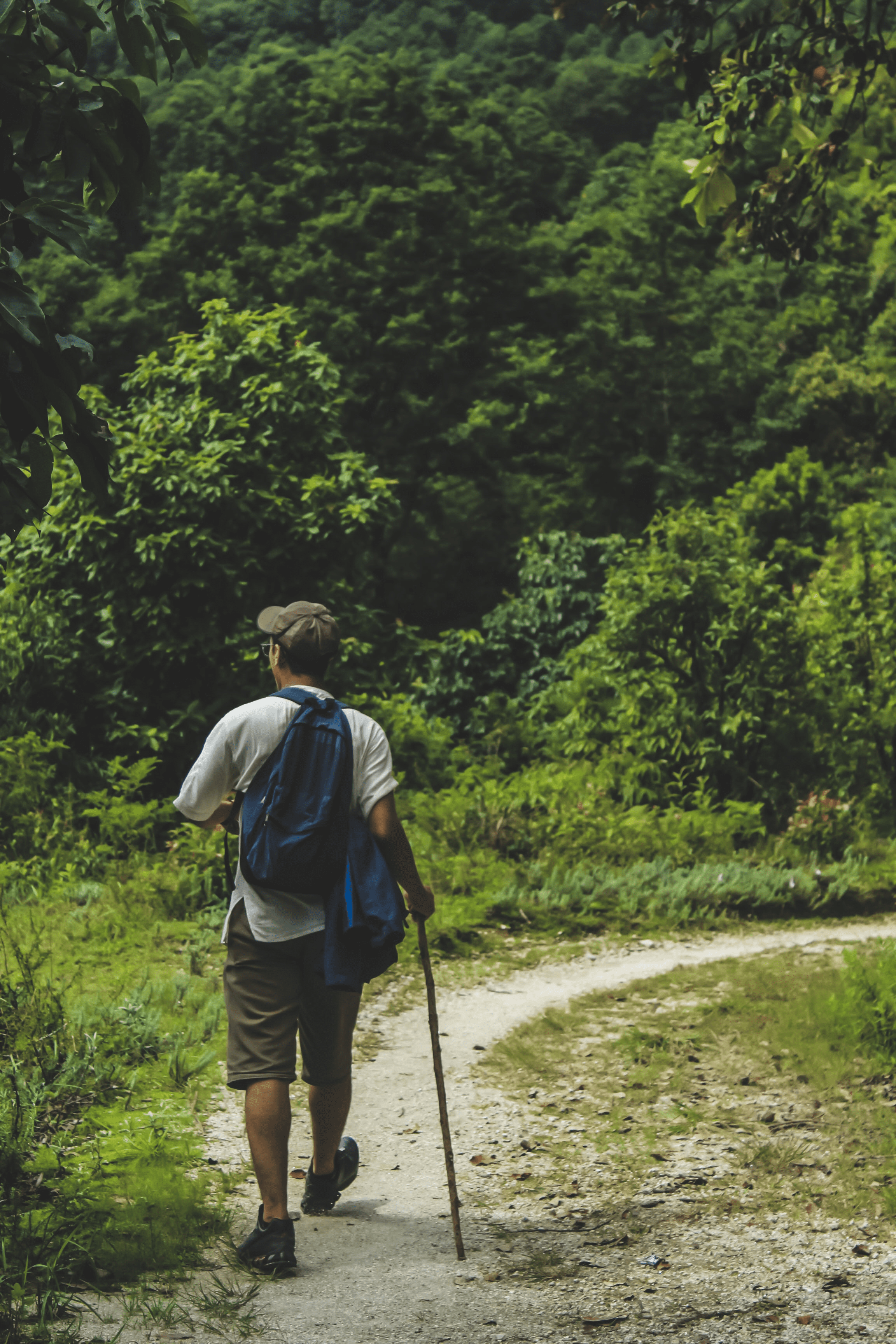 a man trekking or talking a stroll amidst the greenery 