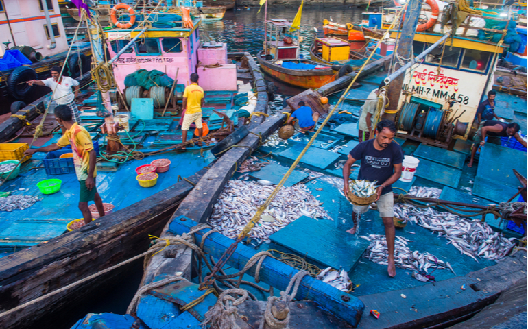 Indian fishermen working in Sassoon Docks
