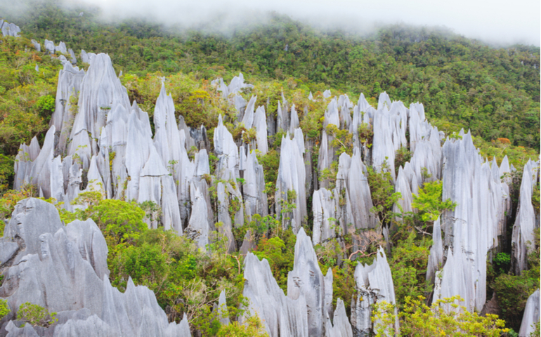Mulu Pinnacles at Gunung Mulu National Park