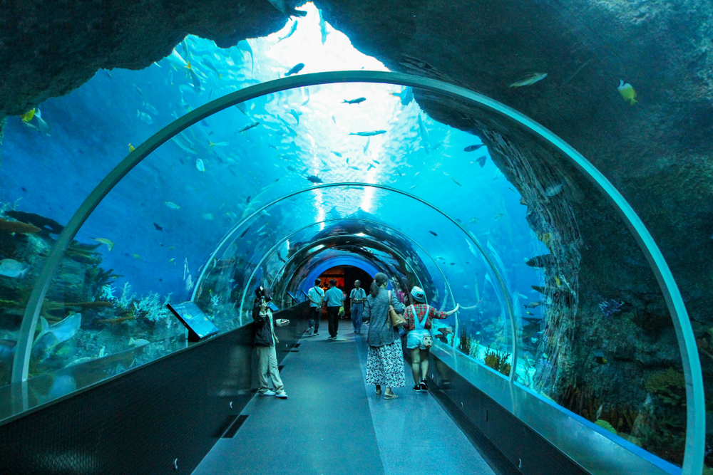 Setonsa sea aquarium walk through dome in Singapore