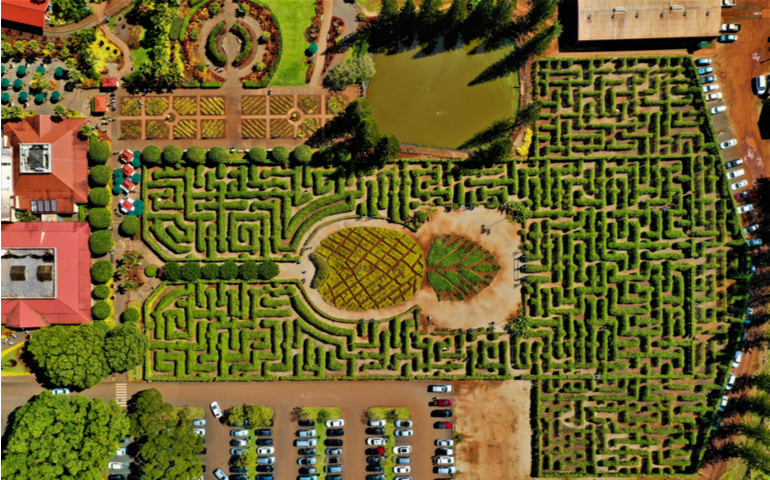 Dole Plantation Pineapple Garden Maze