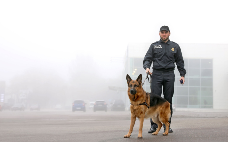 Police officer with a K-9 dog