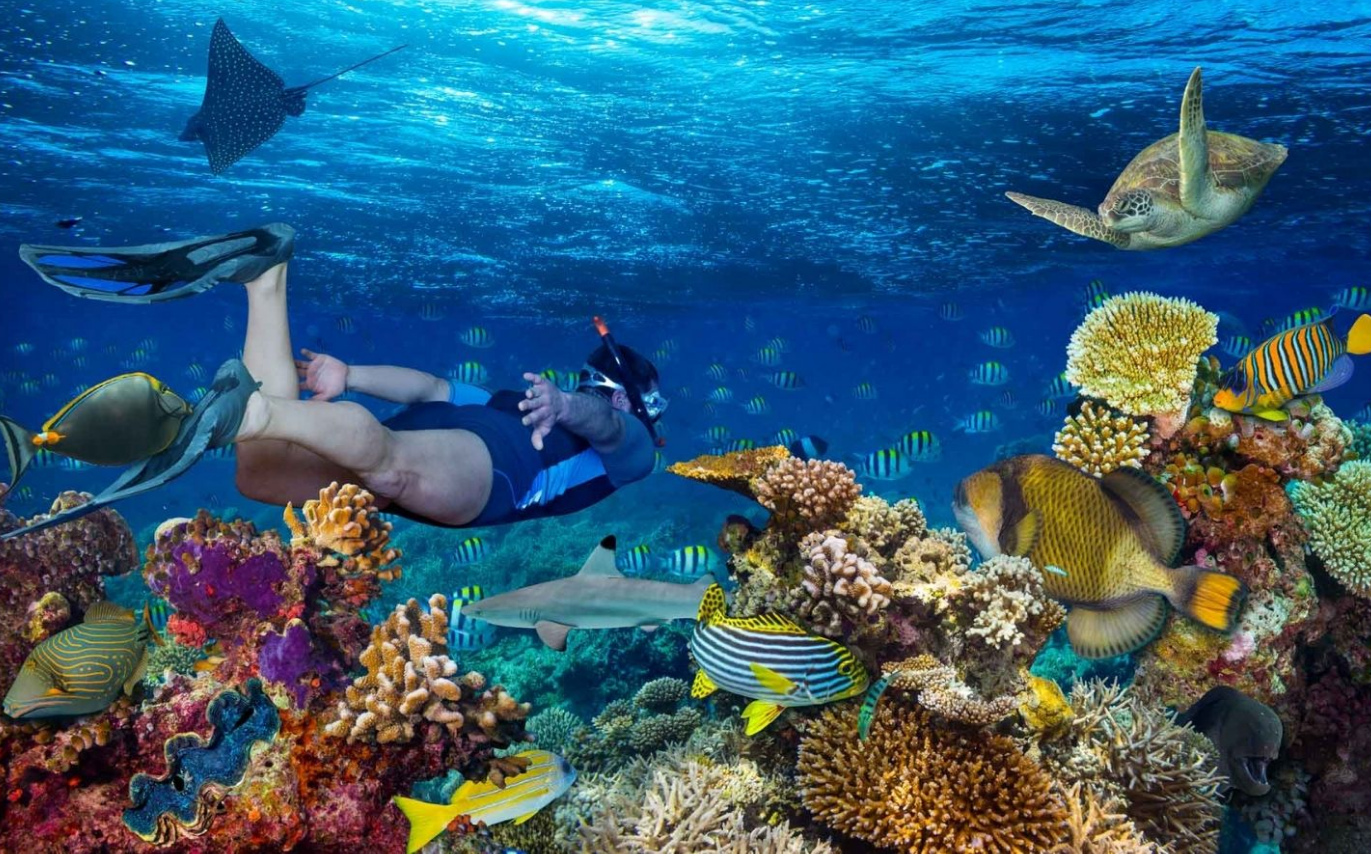 Snorkeling in India