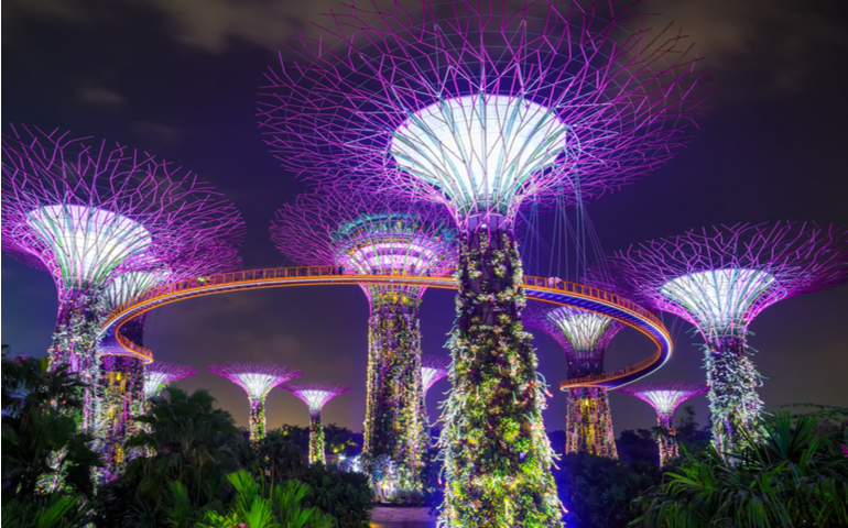 Supertree Grove, Gardens By The Bay