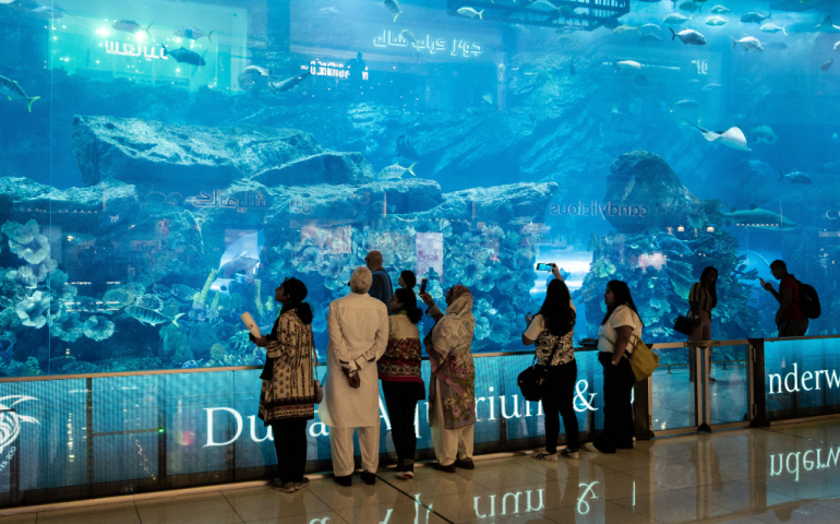 Aquarium and Under Water Zoo in Dubai Mall