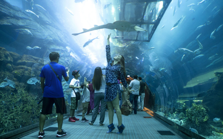 Tunnel under the Dubai aquarium