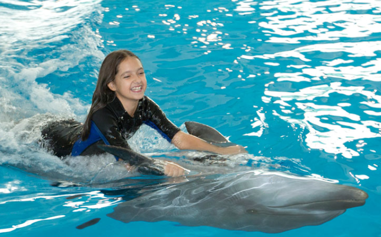 Girl is swimming on Dolphin