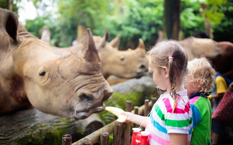 Family feeding rhino in zoo