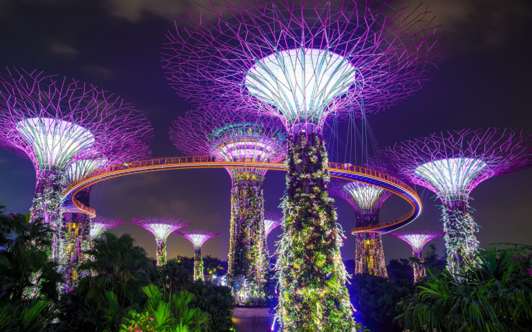 Gardens by the Bay at night