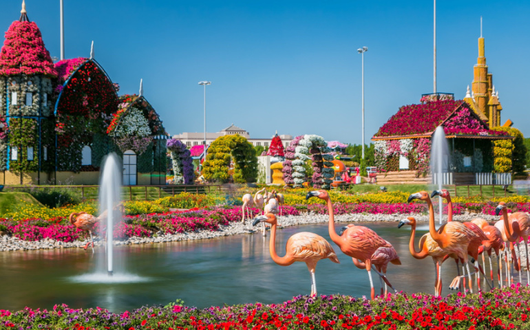 Lake with fountain and Flamingos at Dubai Miracle Garden