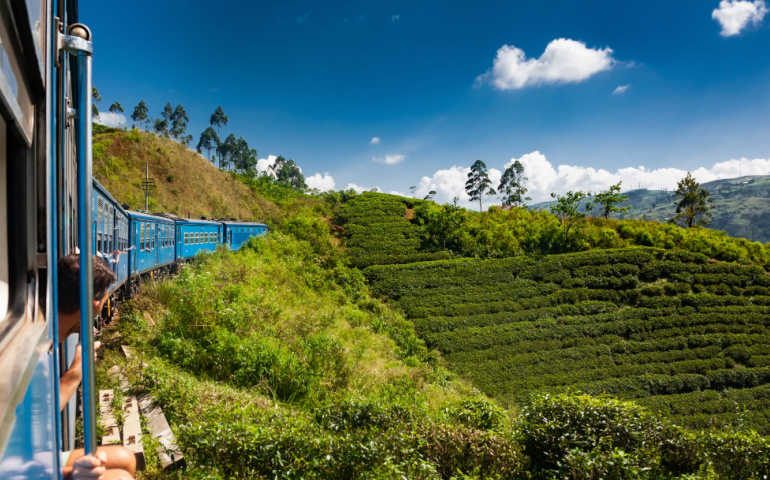  Train from Nuwara Eliya to Kandy among tea plantations in the highlands of Sri Lanka 