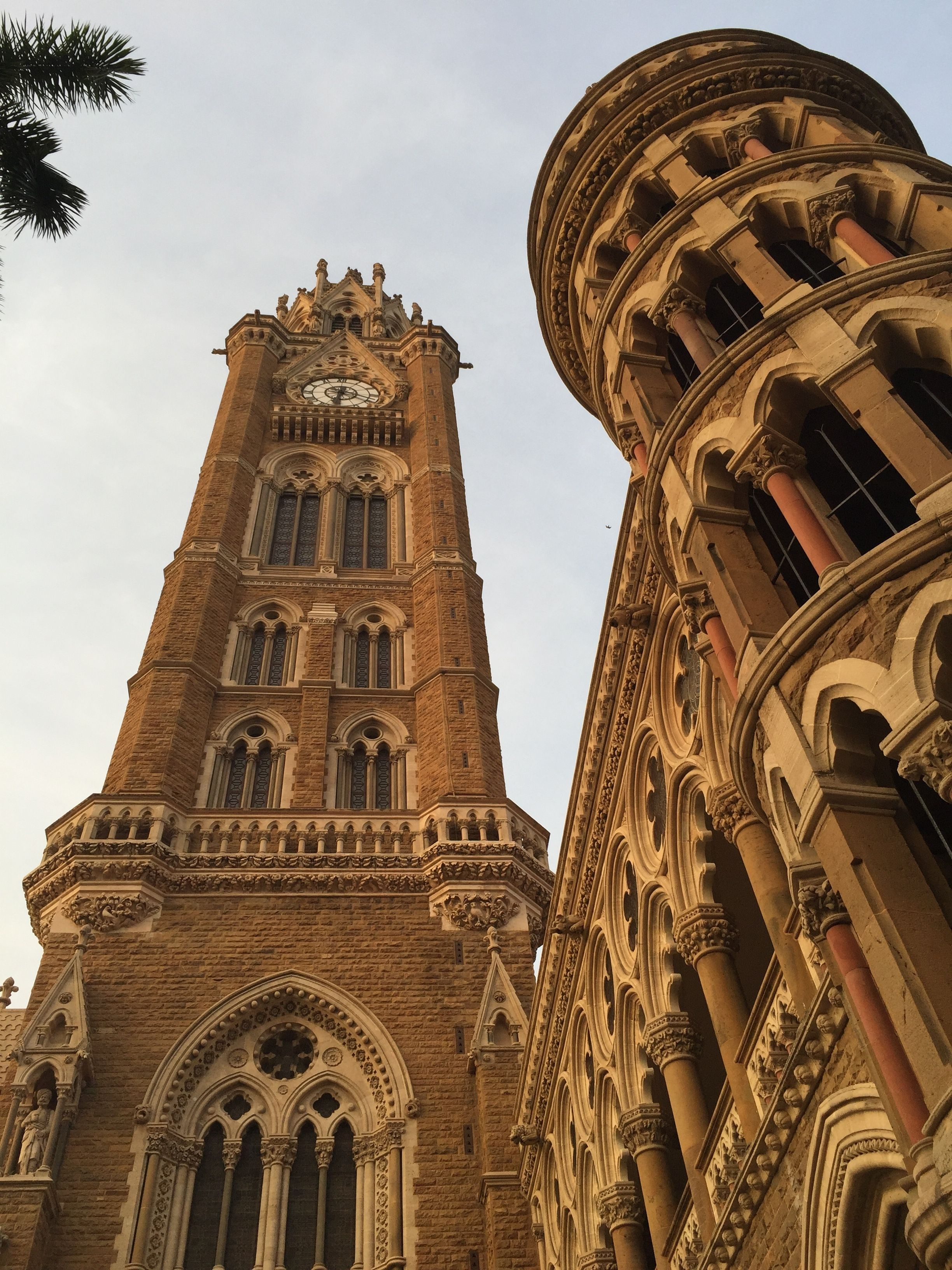 Ant's eye view of Rajabai Clock Tower at University of Mumbai, Fort campus