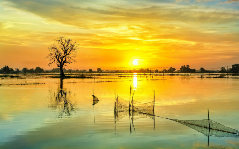 Peaceful landscape in the vast floodplain wetlands of Vietnam. 
