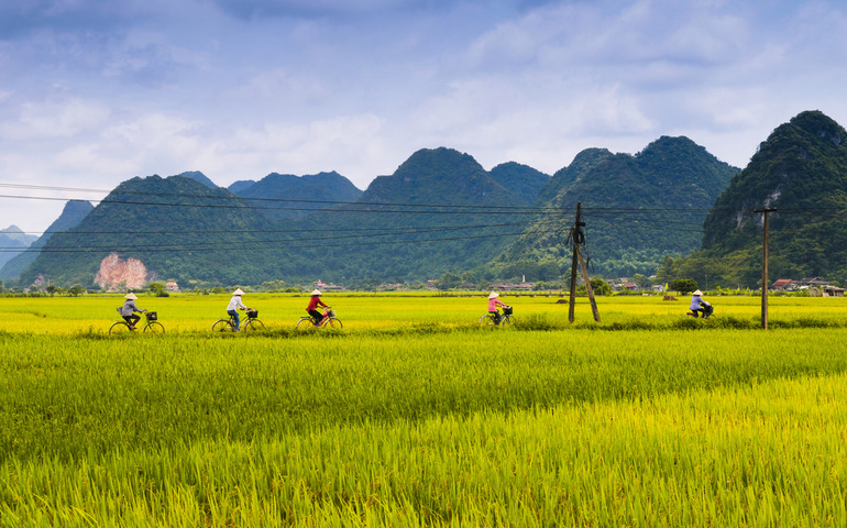 Visit Vietnam's countryside