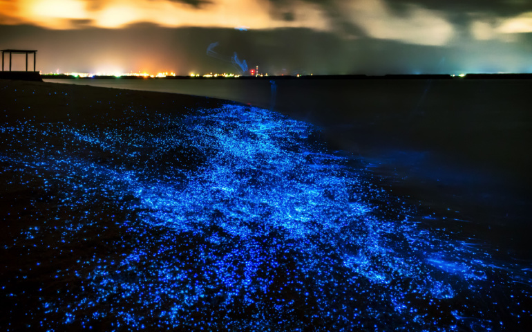 Bio luminescence at Vaadhoo Beach Maldives