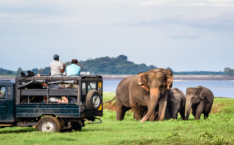 Sri Lankan National Parks