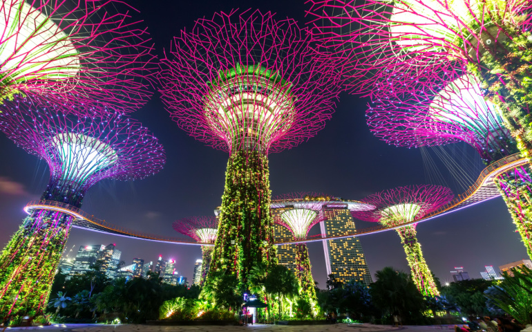 Night view of Super trees at Gardens by the Bay