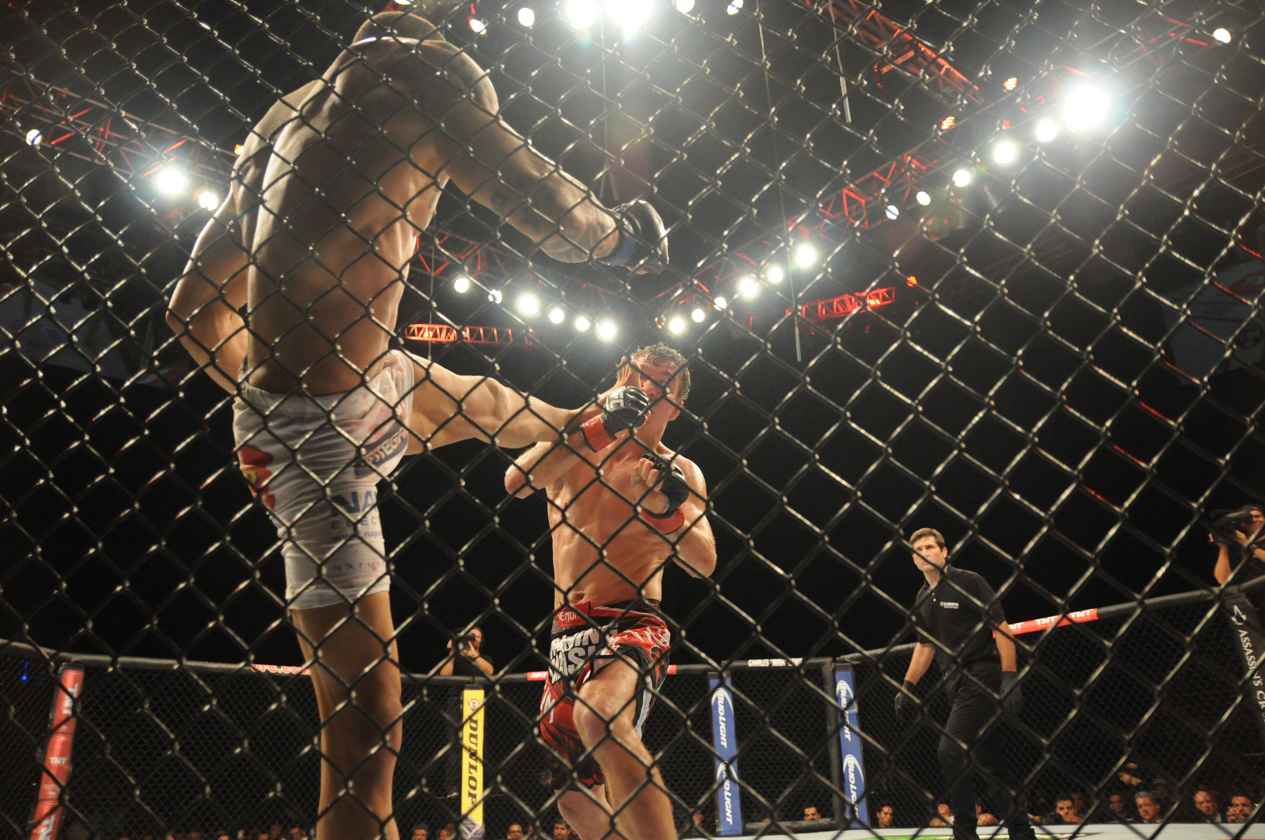 UFC - cage fight