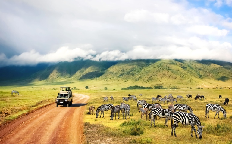 Wild nature of Africa. Zebras against mountains and clouds