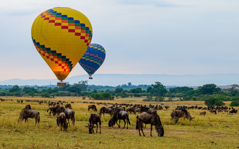 Hot Air Balloon safari in Maasai Mara
