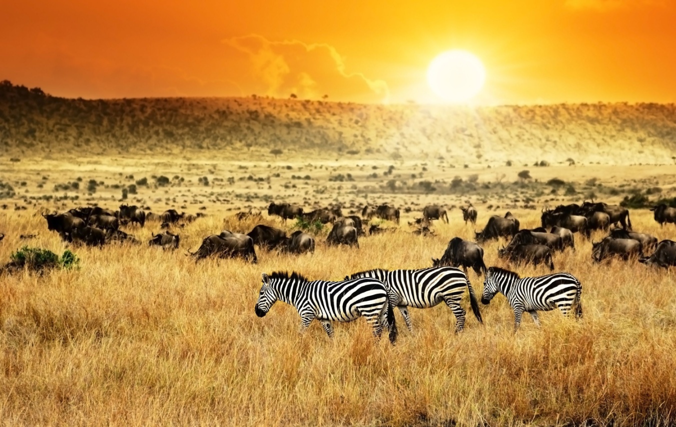 Explore the 10 amazing things to do in Kenya