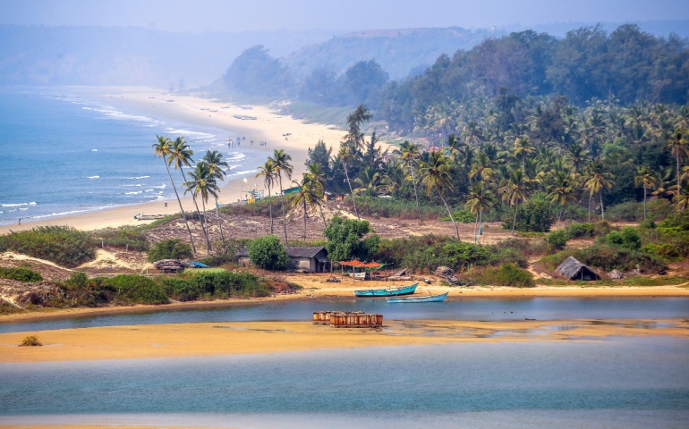 Tropical beach in Goa on a background of palm trees. 
