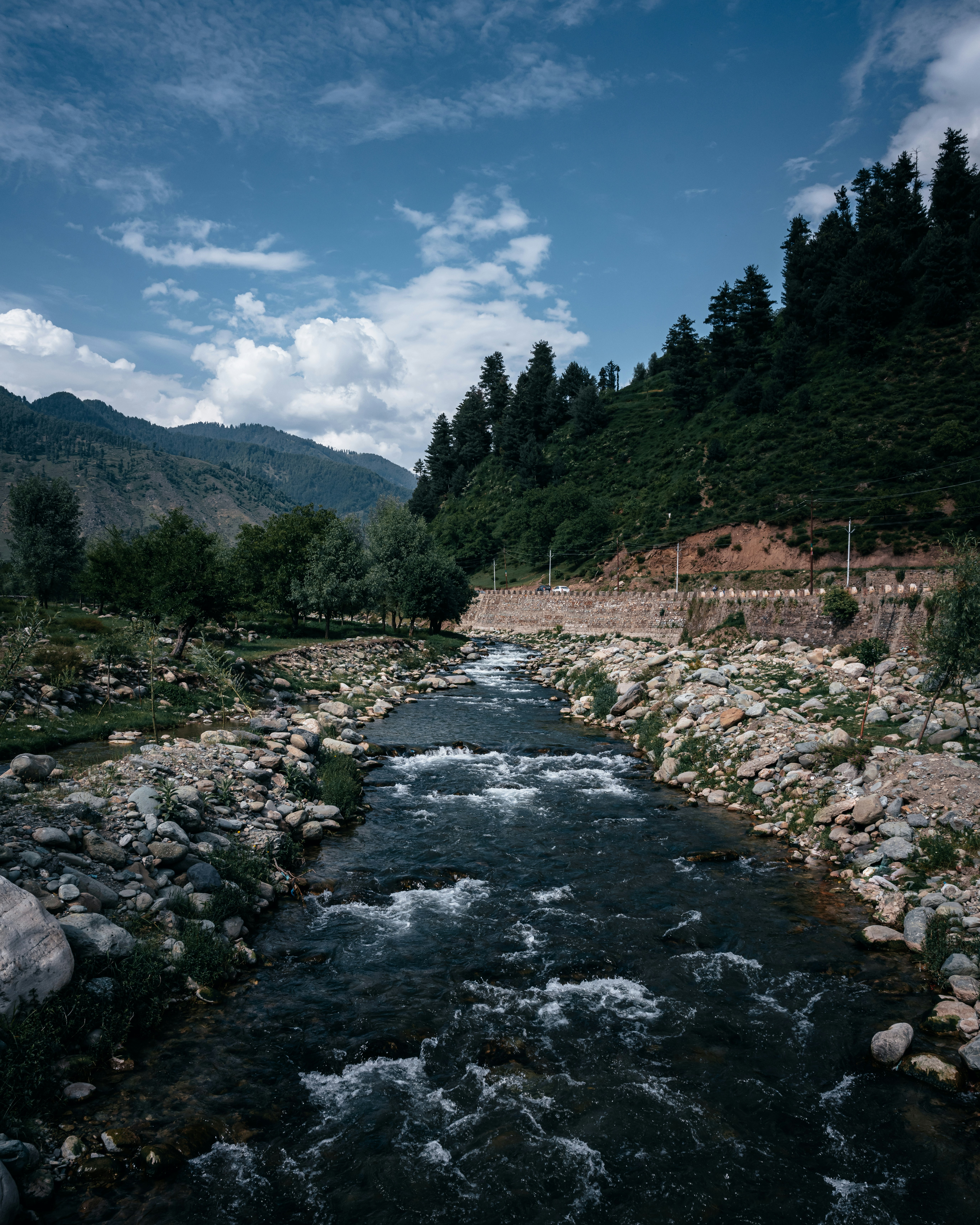 Meadows, pine forests, and pristine streams in Daksum