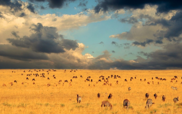 Check weather before visiting Kenya