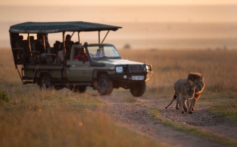 Visiting Kenya Safari