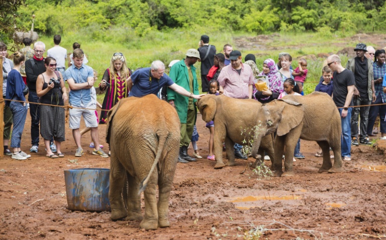 David Sheldrick Wildlife Trust