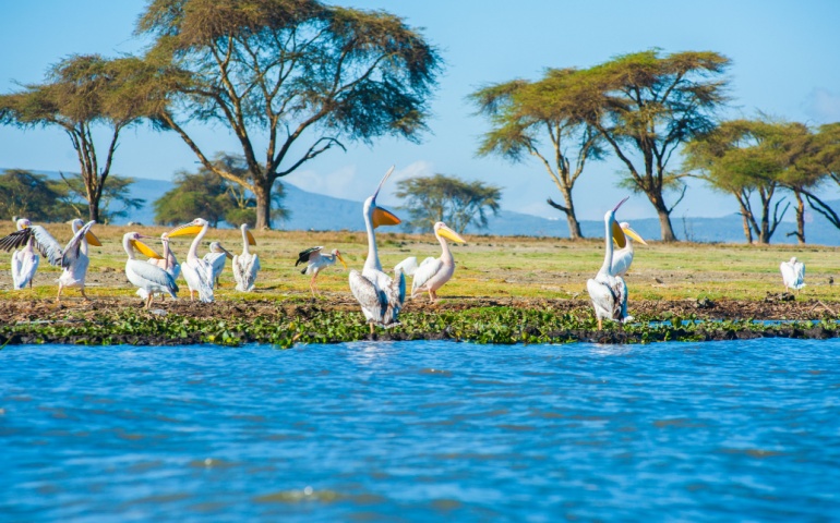 Lake Navaisha- Kenya Itinerary