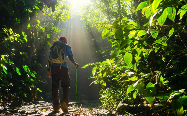 Hiker exploring the forest