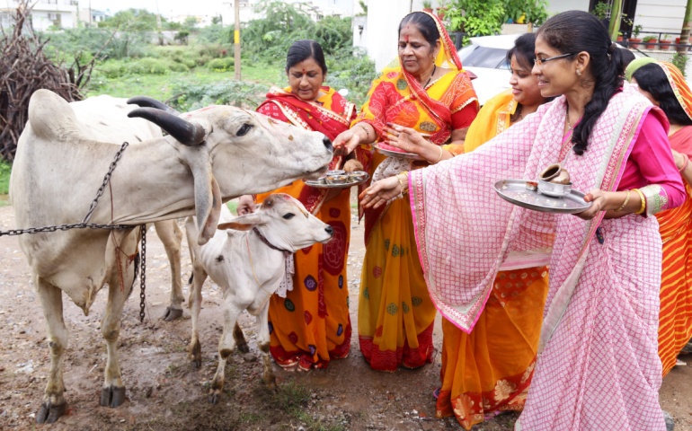 Women worshipping cow and calf on Vasu Baras to begin Diwali celebrations.