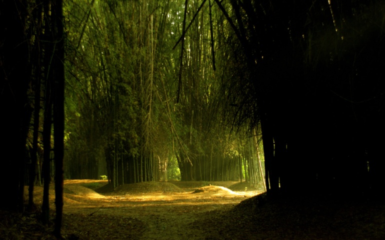 Bamboo Garden at Cubbon Park