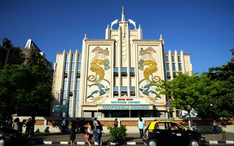 Taraporewala Aquarium, Mumbai