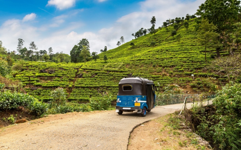 A tuk-tuk drive along the tea plantations